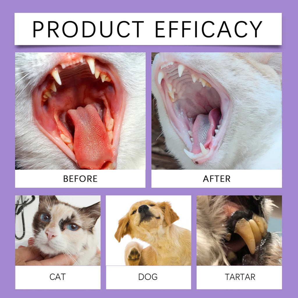 VetOralLab Targeted Dental Care Spray