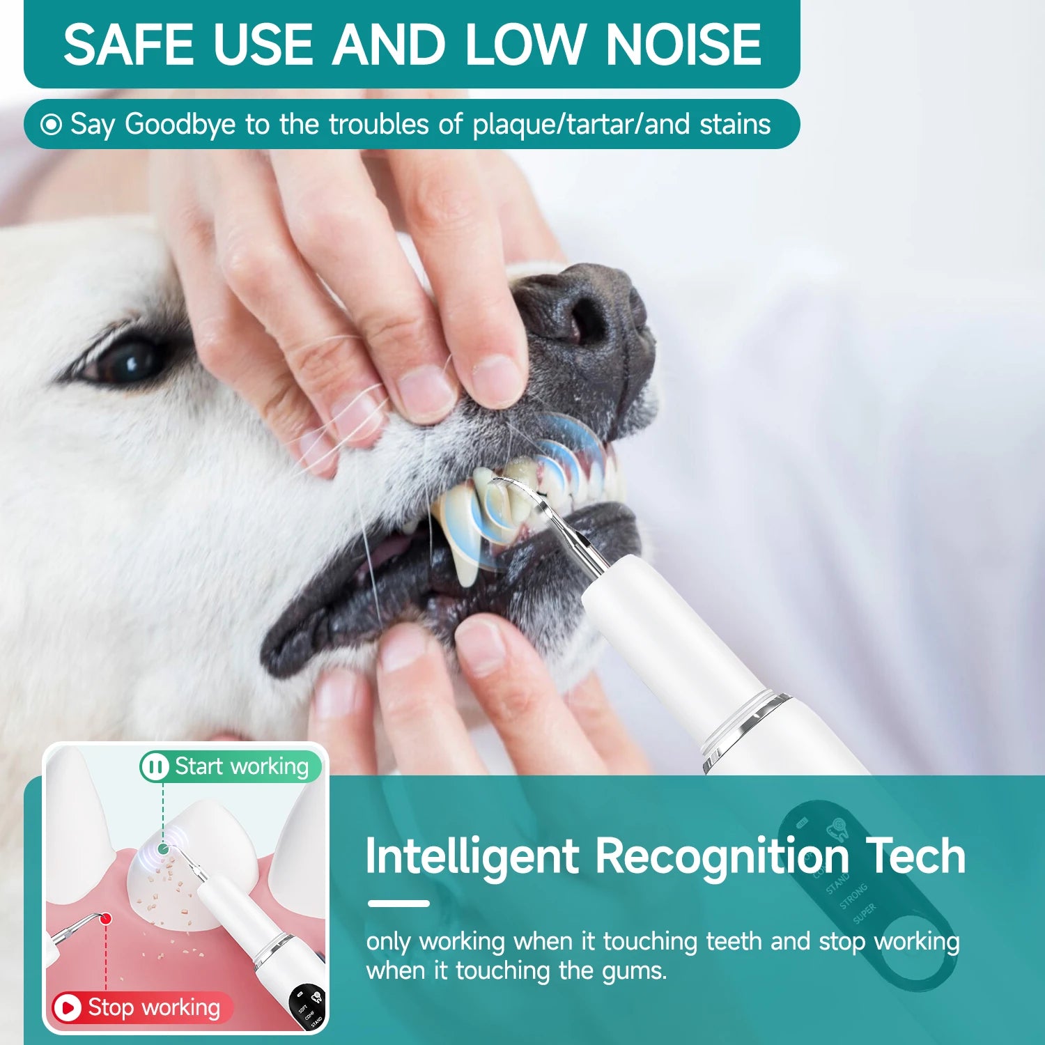 VetOralLab Ultrasonic Pet Dental Scaler & Plaque Remover