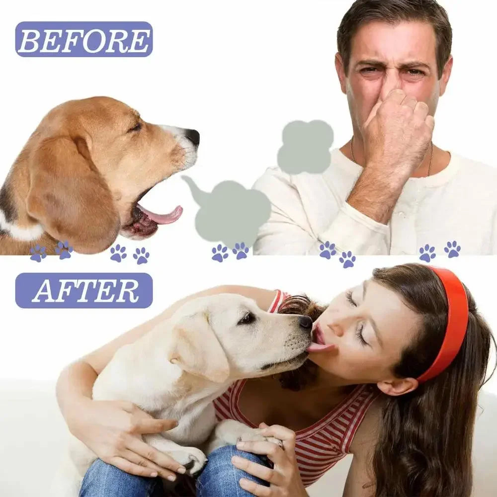 VetOralLab Targeted Dental Care Spray